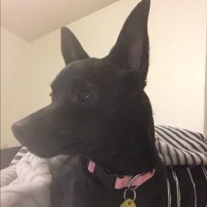 Meet your Posher, Alison